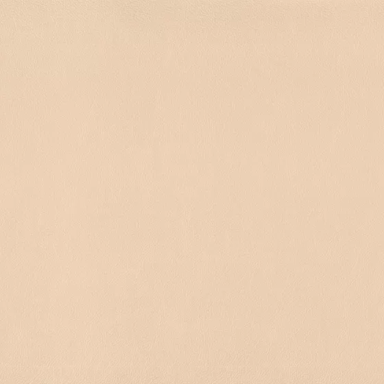 Color swatch image
