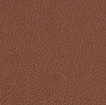 Color swatch image