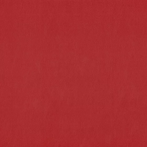 Color swatch image