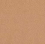 Color swatch image