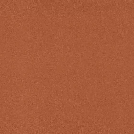 Color swatch image