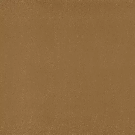 Color swatch image