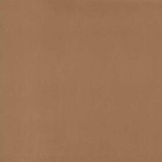 Color swatch image