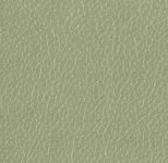 Color swatch image