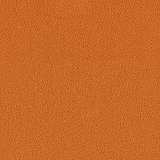 Color swatch image