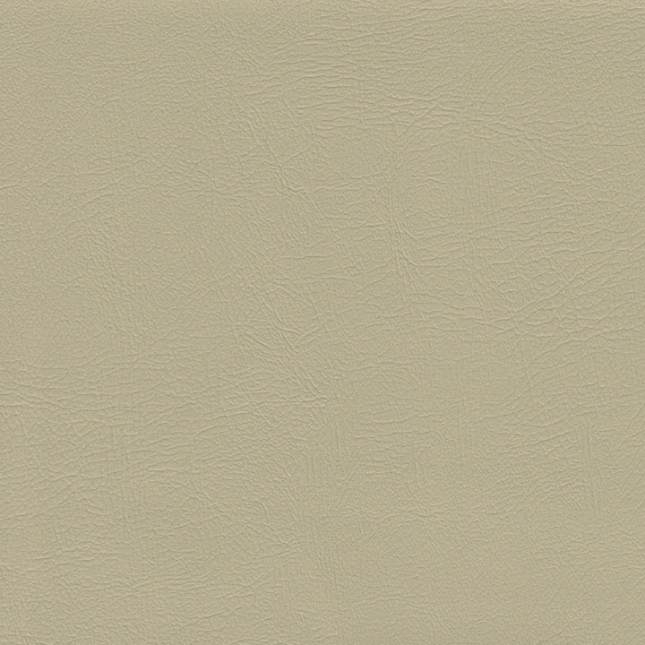 Color swatch image