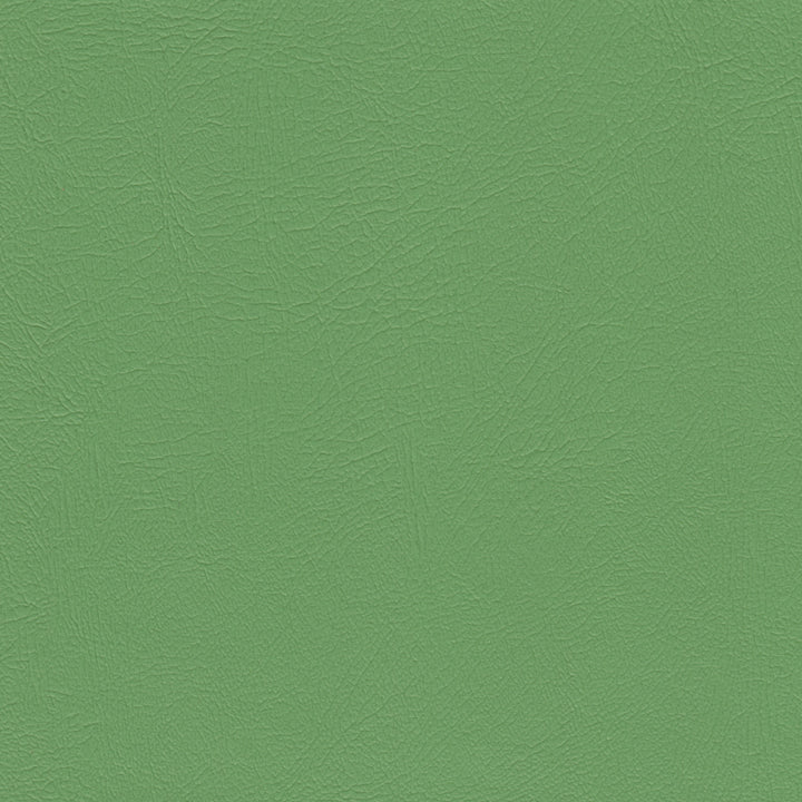 Color swatch image
