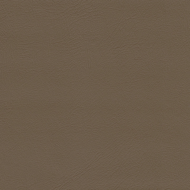 Color swatch image