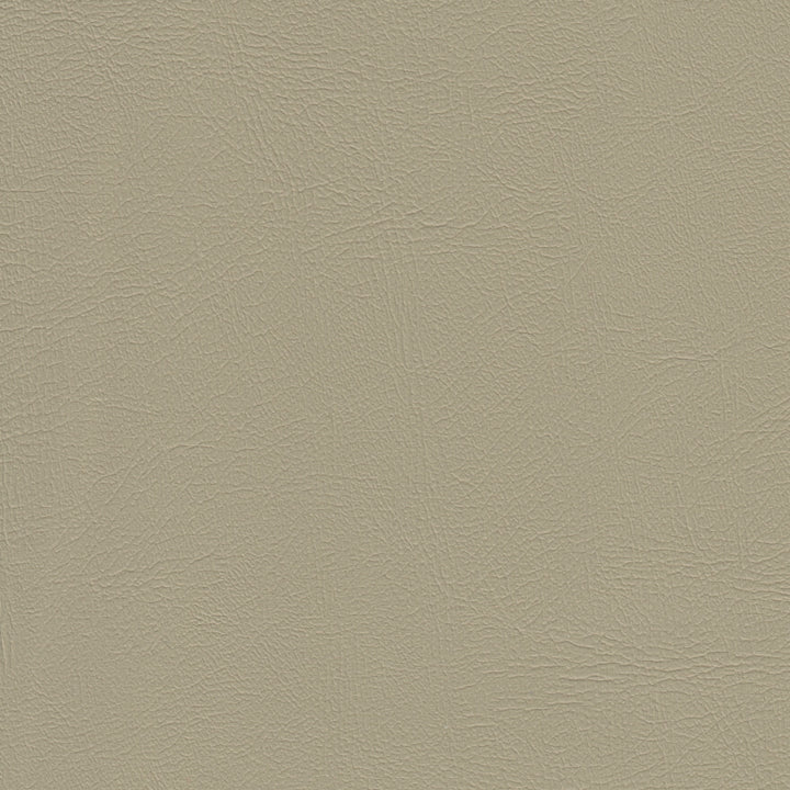 Color swatch image