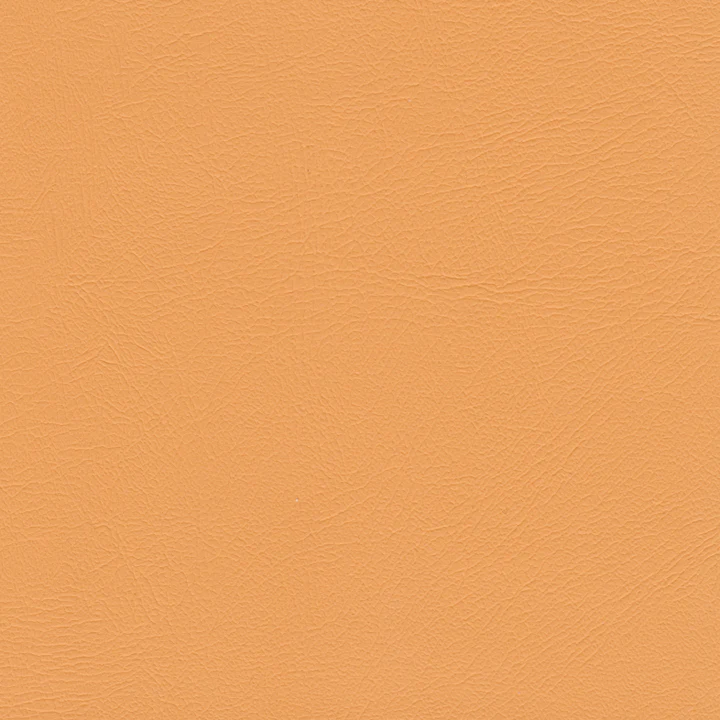 Color swatch image