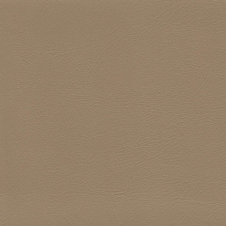 Color swatch image