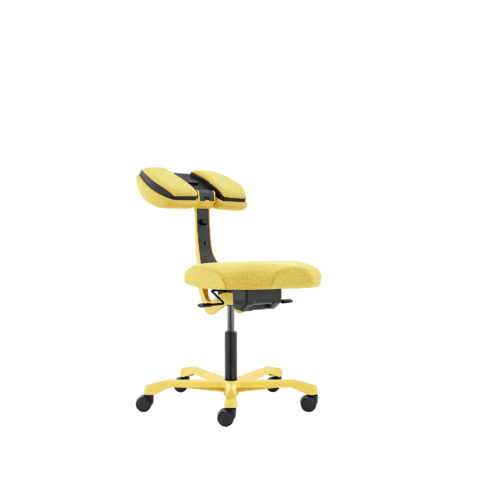 EVO Multi-Purpose Chair