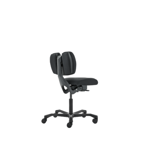 EVO Multi-Purpose Chair