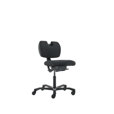 EVO Multi-Purpose Chair