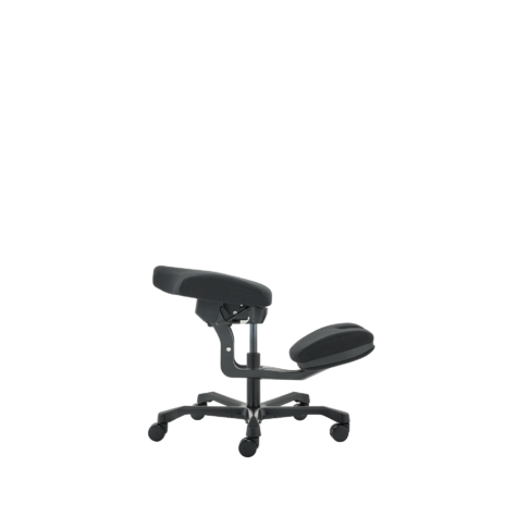 EVO Multi-Purpose Chair