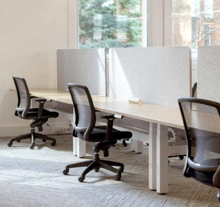 Acouline 3 Quarter Mount Desk Screens - 600 mm High