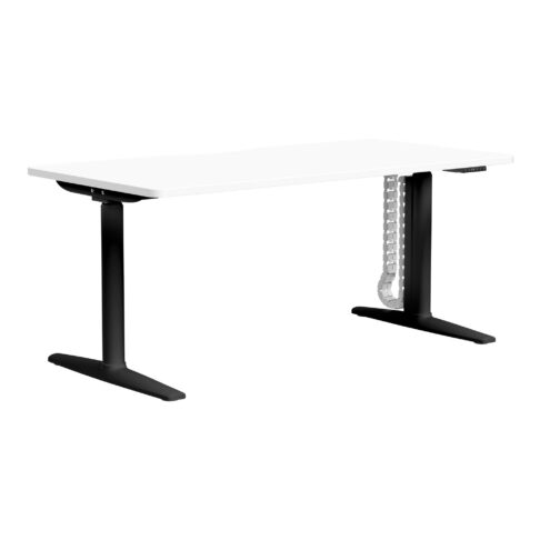 Syntra Straight Height Adjustable Desk with D Scallop Cutout